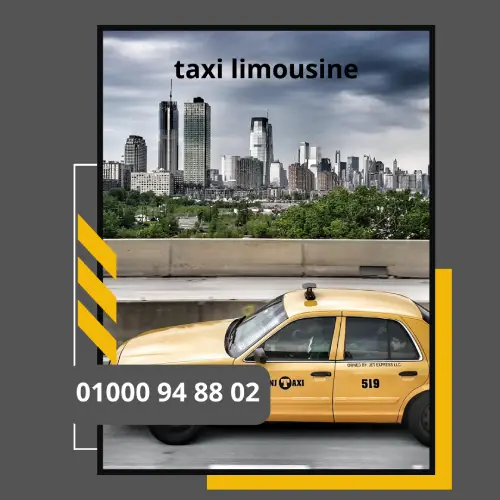 taxi limousine     : ليموزين مطار القاهرة